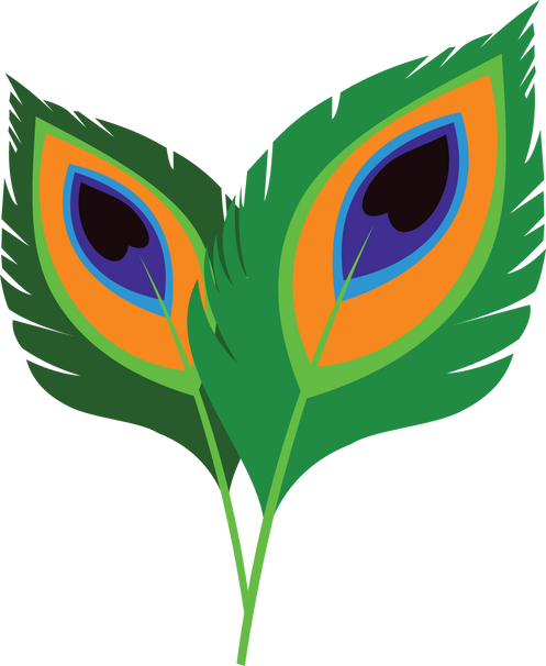 Peacock feather representation for Shri Krishna Janmashtami